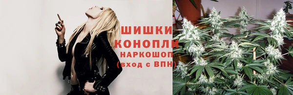 СК Армянск